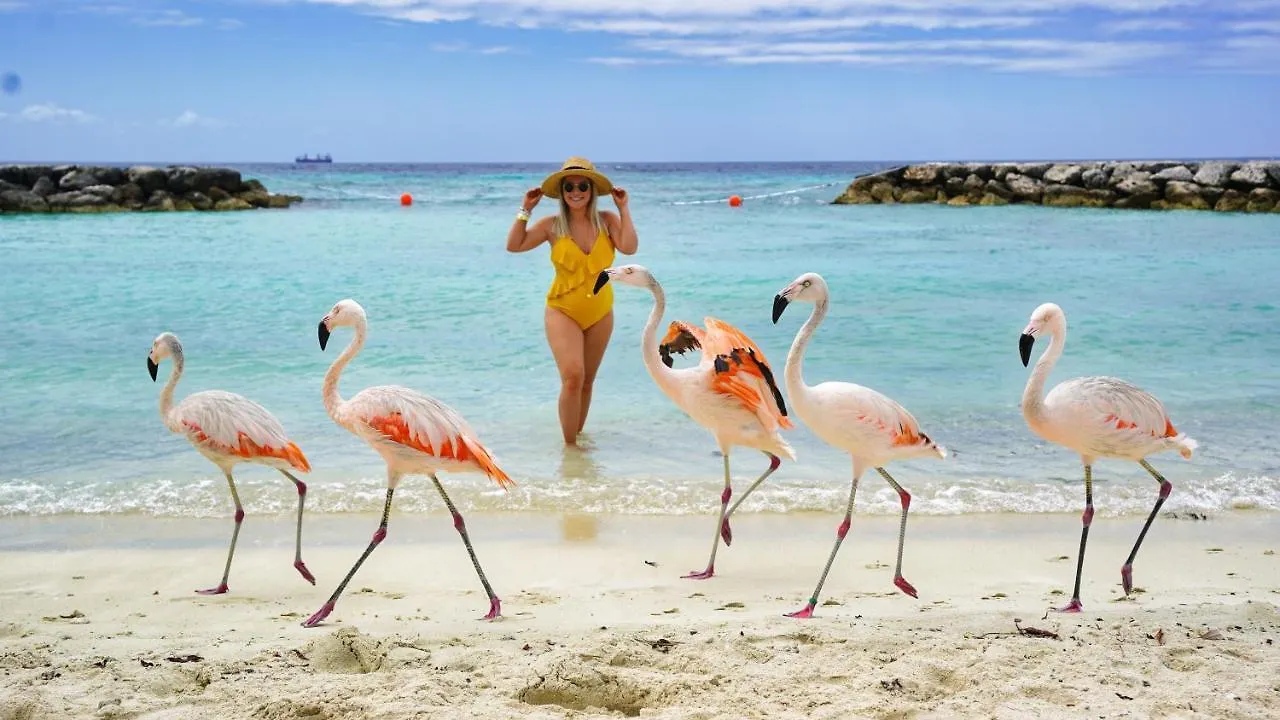 Villa Marquesa Aruba Noord