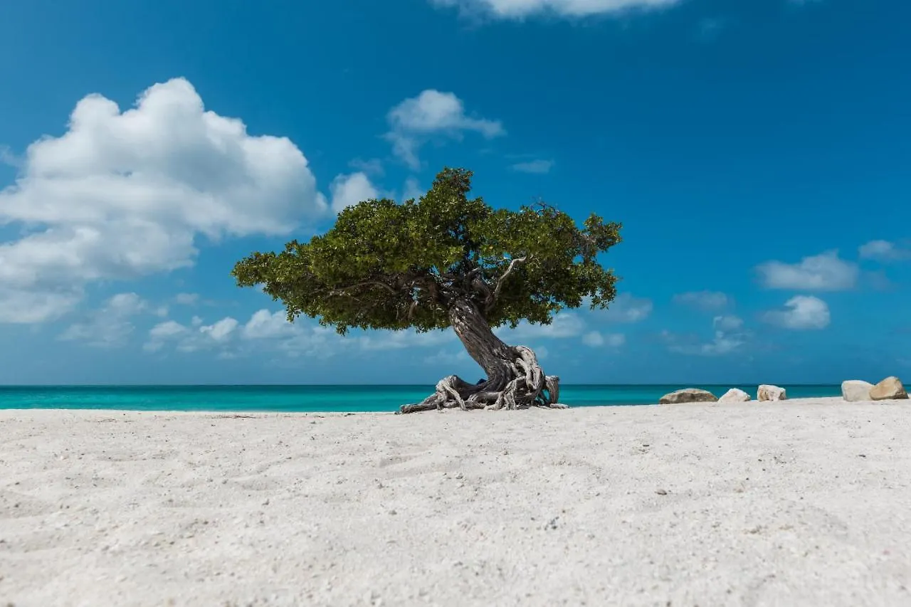Villa Marquesa Aruba Noord Aruba
